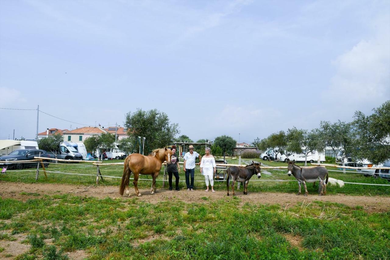 Casa Zafferano Pensionat Albenga Exteriör bild